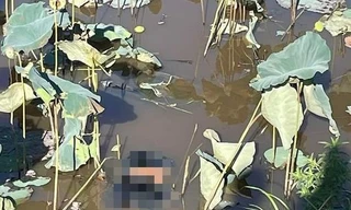 Phát hiện thanh niên tử vong dưới hồ sen ở Quảng Nam