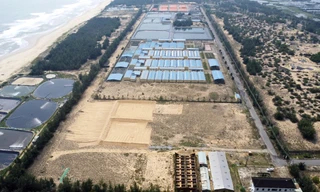 Lãng phí dự án sản xuất và kiểm định giống thủy sản hơn 39 tỷ 