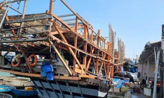 Chủ tàu cá ở Quảng Nam bị phạt 400 triệu đồng vì mất tín hiệu giám sát hành trình