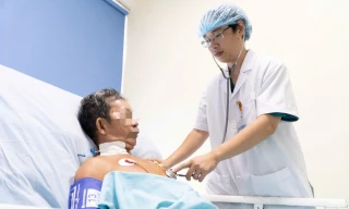 Người đàn ông sốc phản vệ nguy kịch vì bị đàn ong vò vẽ đốt