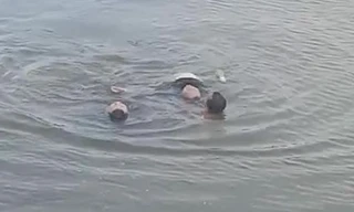 Hai người đàn ông dũng cảm nhảy xuống sông cứu người tự tử