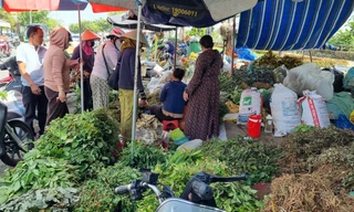 Nhộn nhịp chợ ‘lá mùng 5’ cận Tết Đoan Ngọ