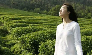 Độc chiêu’ giảm cân từ thảo dược thiên nhiên