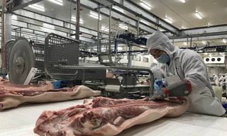 Tổ hợp chế biến thịt MEAT Hà Nam của Masan- đơn vị đầu tiên và duy nhất tại Việt Nam cho đến nay được chứng nhận Tiêu chuẩn Toàn cầu BRC trong lĩnh vực chế biến thịt tươi.