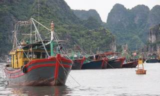 Nhiều địa phương đã cấm biển trong ngày 1/8