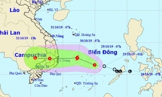 Bộ trưởng NN&PTNT Nguyễn Xuân Cường yêu cầu các địa phương triển khai khẩn trương giải pháp ứng với bão dự kiến đổ bộ vào Nam Trung bộ