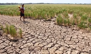 Việc giảm xả nước của đập Cảnh Hồng (Trung Quốc) sẽ ảnh hưởng đến tình hình hạn mặn ở Đồng bằng sông Cửu Long của Việt Nam.