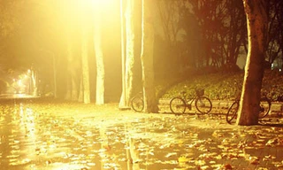 Ô nhiễm ánh sáng đối với sức khỏe con người