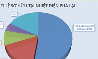 EVN rút khỏi Nhiệt Điện Phả Lại