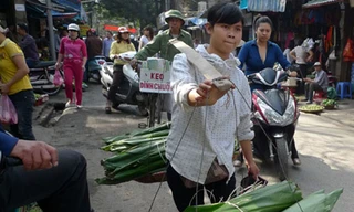 Quay về với Tết 'sinh thái'