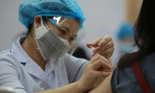Hơn 80% người từ 18 tuổi đã tiêm đủ liều vắc xin COVID-19