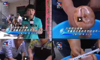 Phóng viên nhầm đồ chơi tình dục với nấm