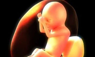 Phát hiện thai nhi cũng biết... ngáp