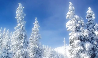 'Bà chúa tuyết' khoe nhan sắc yêu kiều