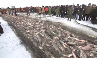 Độc đáo lễ hội khoan băng bắt cá ở Trung Quốc