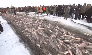 Độc đáo lễ hội khoan băng bắt cá ở Trung Quốc