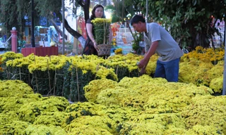 Hoa ở Cà Mau giảm giá chiều 30 Tết