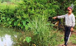 Hiện trường nơi xảy ra vụ đuối nước.