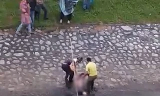 Xôn xao clip cứu cô gái nhảy sông Tô Lịch giữa giá rét