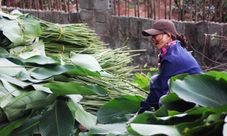 'Đột nhập' làng lá dong lớn nhất Hà thành vào giáp Tết