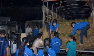 Những bạn tình nguyện viên thức trắng đêm vận chuyển dưa từ trên xe xuống. Ảnh: Thanh Hà.