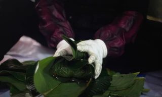 [ẢNH] Người dân Hà Nội tất bật làm bánh chưng Tết