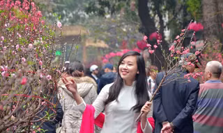 Đặc biệt chợ hoa Hàng Lược chỉ họp một lần duy nhất trong năm, bắt đầu từ 23 tháng Chạp cho đến tận ngày 30 và càng gần Tết thì càng đông. 