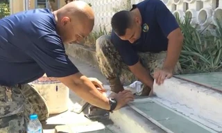  Hải quân Mỹ làm thợ hồ ở Đà Nẵng