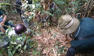 [VIDEO] Băng rừng, lội suối truy tìm con dao giết 4 người