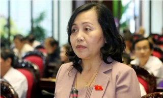 ĐB Nguyễn Hồng Hà chất vấn về hoạt động thu phí giao thông