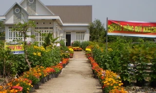 Một nhà hoa đoạt giải nhất.