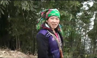 Cô gái người Mông nói tiếng Anh lưu loát