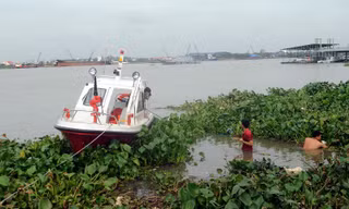Lực lượng chức năng đưa thi thể nạn nhân vào bờ.
