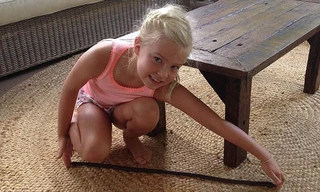 Sững sờ thấy giun đất khổng lồ ở Úc