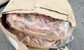 Vạch trần chiêu trò xuất khống 1.400 tấn chân gà để trốn thuế hàng tỷ đồng