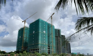 Giá chung cư ngang ngửa giá liền kề, biệt thự