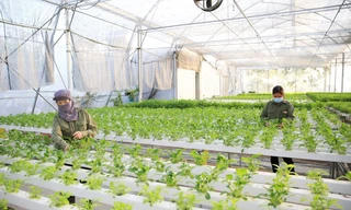 Có tín dụng xanh, vì sao không giải ngân được?