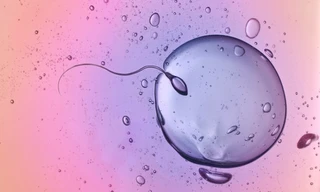 Sự thu hút của trứng và tinh trùng khác với những gì ta đã từng biết.