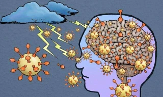 Không chỉ tấn công hệ hô hấp, SARS-CoV-2 còn tấn công não bộ.
