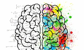 “ Đồng hồ biểu sinh” có thể đo được tốc độ lão hoá của não bộ chính xác hơn các công cụ khác.