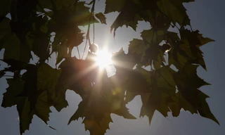 Các quốc gia Bắc Âu thiếu ánh nắng mặt trời là những quốc gia có nguy cơ cao nhất.