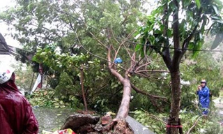 'Dân chết rồi anh đền mấy chục triệu là xong hay sao?'