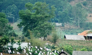 Bản Dõn, chập chờn ký ức