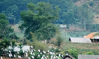 Bản Dõn, chập chờn ký ức