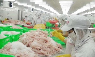 VASEP phản đối phía Mỹ áp mức phí chống bán phá giá vô lý, thiếu cơ sở với cá tra phi lê đông lạnh từ Việt Nam