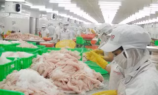 VASEP phản đối phía Mỹ áp mức phí chống bán phá giá vô lý, thiếu cơ sở với cá tra phi lê đông lạnh từ Việt Nam