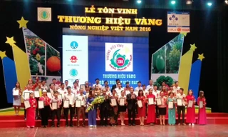 Giải thưởng thương hiệu vàng nông nghiệp Việt Nam hàng năm ngày càng thu hút với các doanh nghiệp, hợp tác xã, nông dân. 