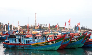 Việc EU cảnh báo thẻ vàng, khiến nhiều DN xuất khẩu hải sản Việt Nam gặp nhiều khó khăn