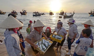 Ngư dân 4 tỉnh miền Trung bị sự cố môi trường sẽ được hỗ trợ để đóng 400 tàu cá đánh bắt xa bờ