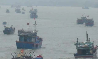 Gần 4.700 tàu cá đang trong vùng nguy hiểm bão số 10